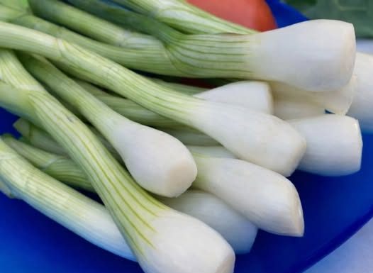 EVO KO NE SMIJE DA JEDE MLADI LUK: Ljekari upozoravaju, ako imate problem sa OVIME – odmah ga izbacite iz ishrane