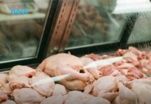 Mesar otkrio koji je najisplativiji komad piletine: Mnogi su se iznenadili