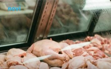 Mesar otkrio koji je najisplativiji komad piletine: Mnogi su se iznenadili