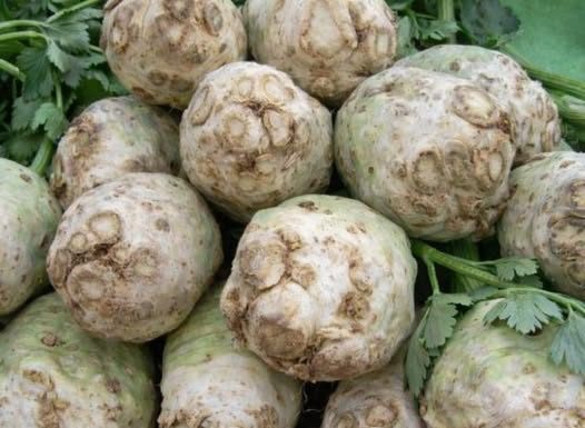 Čudesni napitak od celera: topi kamenac, uklanja holesterol i olakšava probavu