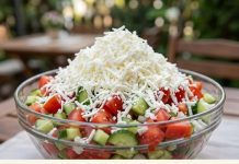 TRADICIONALNA ŠOPSKA SALATA