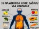 15 M0ĆNIH namirnica koje PRIR0DN0 jačaju vaš IMUN0L0ŠKI sistem…