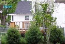 Zaboravite čupanje korova: Pospite ovo iz kuhinje i nestaje skoro odmah