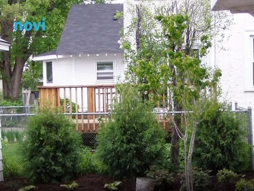 Zaboravite čupanje korova: Pospite ovo iz kuhinje i nestaje skoro odmah