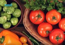 Jesu li pesticidi opasni? Stručnjaci otkrivaju šta zapravo znači “prljava lista”