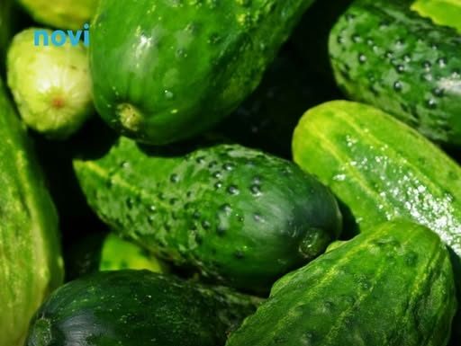 Posadite krastavce s ovim biljkama i imat ćete ih u izobilju