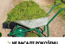 NE BACAJTE POKOŠENU TRAVU DOK OVO NE PROČITATE! PRAVITE VELIKU GREŠKU!