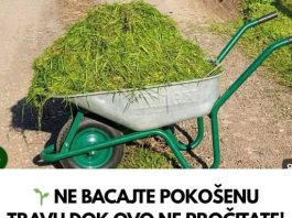 NE BACAJTE POKOŠENU TRAVU DOK OVO NE PROČITATE! PRAVITE VELIKU GREŠKU!