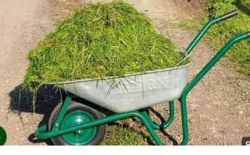 NE BACAJTE POKOŠENU TRAVU DOK OVO NE PROČITATE! PRAVITE VELIKU GREŠKU!