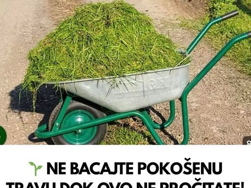 NE BACAJTE POKOŠENU TRAVU DOK OVO NE PROČITATE! PRAVITE VELIKU GREŠKU!