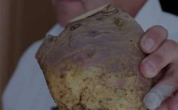 UNIŠTAVA BAKTERIJE, OPORAVLJA PLUĆA: Korijen ove biljke liječi sve probleme disajnih puteva