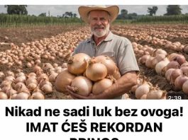 Nikad ne sadi luk bez ovoga! IMAT ĆEŠ REKORDAN PRINOS
