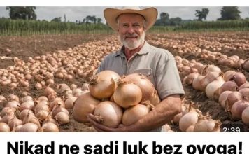 Nikad ne sadi luk bez ovoga! IMAT ĆEŠ REKORDAN PRINOS