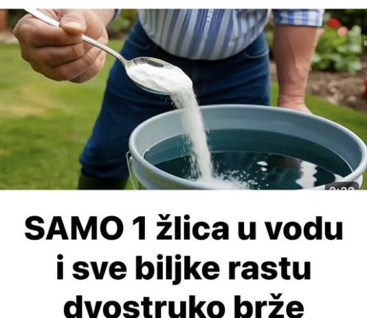 Samo 1 žlica u vodu i sve biljke rastu dvostruko brže