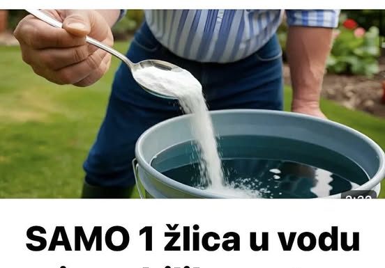 Samo 1 žlica u vodu i sve biljke rastu dvostruko brže