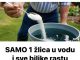 Samo 1 žlica u vodu i sve biljke rastu dvostruko brže