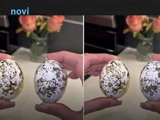 Milioni oduševljeni trikom: 1 sastojak iz hladnjaka pretvara obična jaja u luksuzna remek-djela