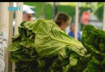 Ovo voće i povrće je najzatrovanije: Lista koja će vas natjerati da dobro razmislite šta jedete