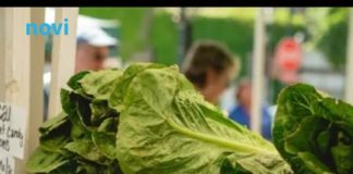 Ovo voće i povrće je najzatrovanije: Lista koja će vas natjerati da dobro razmislite šta jedete