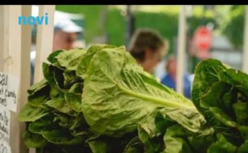 Ovo voće i povrće je najzatrovanije: Lista koja će vas natjerati da dobro razmislite šta jedete