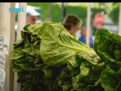 Ovo voće i povrće je najzatrovanije: Lista koja će vas natjerati da dobro razmislite šta jedete