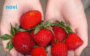 Da li pogrešno perete jagode? Evo kako treba