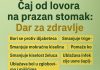 ČAJ OD LOVORA NA PRAZAN STOMAK: Jednostavan jutarnji ritual za PRIRODNO zdravlje