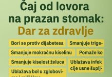 ČAJ OD LOVORA NA PRAZAN STOMAK: Jednostavan jutarnji ritual za PRIRODNO zdravlje