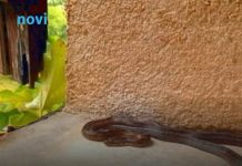 Ove stvari privlače zmije u vaše dvorište, odmah ih se riješite!