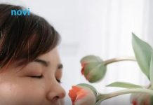 Stan uvijek miriše kao nov: 3 jednostavna prirodna trika koja rade bolje od skupih osvježivača