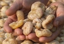 UKOLIKO IMATE POVIŠENE MASNOĆE U KRVI : Ovaj lijek je mnogima pomogao!