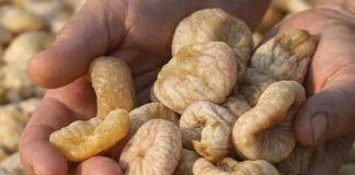 UKOLIKO IMATE POVIŠENE MASNOĆE U KRVI : Ovaj lijek je mnogima pomogao!