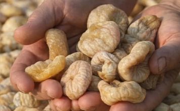 UKOLIKO IMATE POVIŠENE MASNOĆE U KRVI : Ovaj lijek je mnogima pomogao!