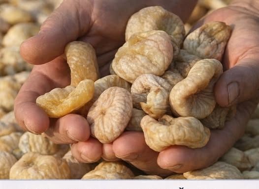 UKOLIKO IMATE POVIŠENE MASNOĆE U KRVI : Ovaj lijek je mnogima pomogao!