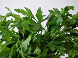 Ovo morate probati: Lijek za srce po receptu starom 800 godina