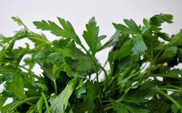 Ovo morate probati: Lijek za srce po receptu starom 800 godina