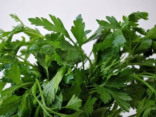 Ovo morate probati: Lijek za srce po receptu starom 800 godina