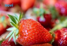 Ovo je najveća prevara sa jagodama koju vam podmeću na pijacama