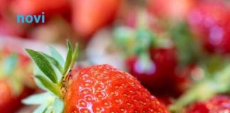 Ovo je najveća prevara sa jagodama koju vam podmeću na pijacama