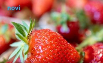 Ovo je najveća prevara sa jagodama koju vam podmeću na pijacama