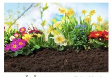 NEMA VIŠE ČUPANJA: Zauvijek uklonite neželjenu travu iz bašte, a da cvijeće ostane netaknuto!