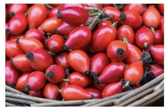 SVEMOĆNI, NEVJEROVATNI ŠIPAK: Kad vidite šta sve liječi, odmah ćete otići na pijacu da kupite ZA LIJEKA