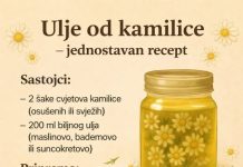 ULJE OD KAMILICE – Otkrijte moć ove predivne biljke za vaše zdravlje i BLAGOSTANJE