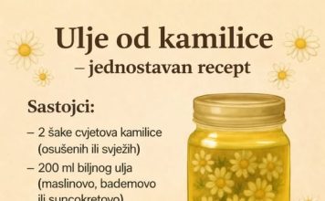 ULJE OD KAMILICE – Otkrijte moć ove predivne biljke za vaše zdravlje i BLAGOSTANJE
