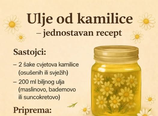 ULJE OD KAMILICE – Otkrijte moć ove predivne biljke za vaše zdravlje i BLAGOSTANJE