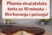 Plazma straćatela torta za 10 minuta – bez kuvanja i pečenja!