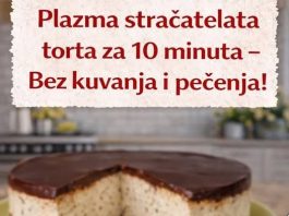 Plazma straćatela torta za 10 minuta – bez kuvanja i pečenja!