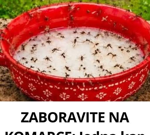 ZABORAVITE NA KOMARCE: Jedna kap ovog spreja i više ih nema!