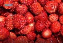 Kako pravilno oprati jagode: Jednostavan trik uklanja prljavštinu i pesticide za nekoliko minuta