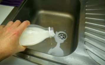 Svi bacaju pokvareno mleko, a ne znaju da je pravo zlato: Razlika se vidi odmah!